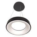 Lámpara colgante LED sobre cable DRAX LED/32W/230V 4000K Ø38 cm negra