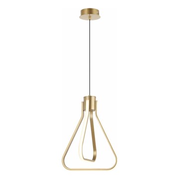 Lámpara colgante LED ZING con cable LED/19W/230V dorada