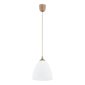 Lámpara colgante LERA 1xE27/15W/230V dorado