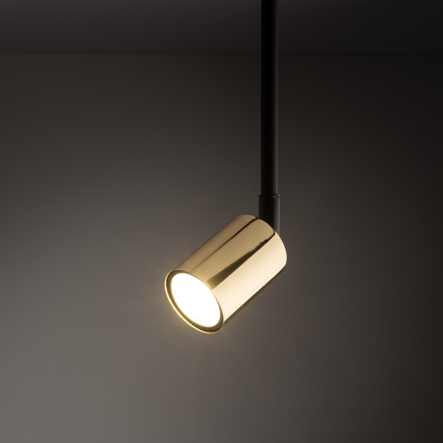Lámpara colgante para sistema de raíles monofásico TOP 1xGU10/10W/230V dorado/negro