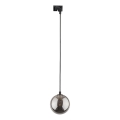 Lámpara colgante para sistema de rieles TRACER 1xG9/8W/230V negro/negro ahumado