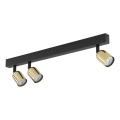 Lámpara de 3 focos TOP 3xGU10/10W/230V negro/dorado