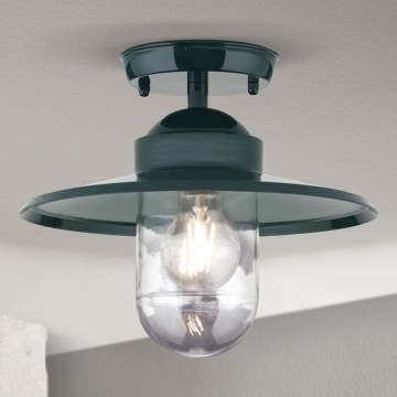 Lámpara de araña para exteriores EDWARD 1xE27/60W/230V IP44 verde
