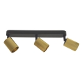 Lámpara de focos ELAN 3xGU10/30W/230V oro/negro