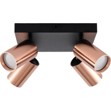 Lámpara de focos PUNTO 4xGU10/9W/230V oro rosado