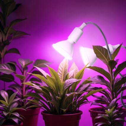 Lámpara de mesa flexible con clip para cultivo de plantas PLANTY 2xE27/30W/230V blanca