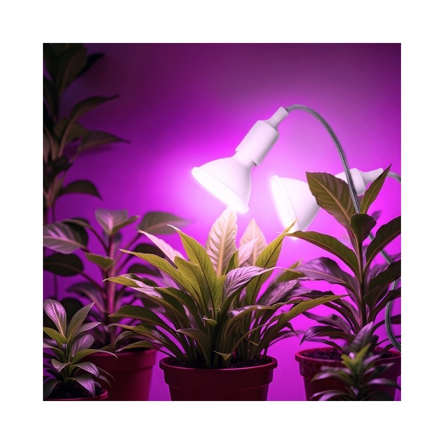 Lámpara de mesa flexible con clip para cultivo de plantas PLANTY 2xE27/30W/230V blanca