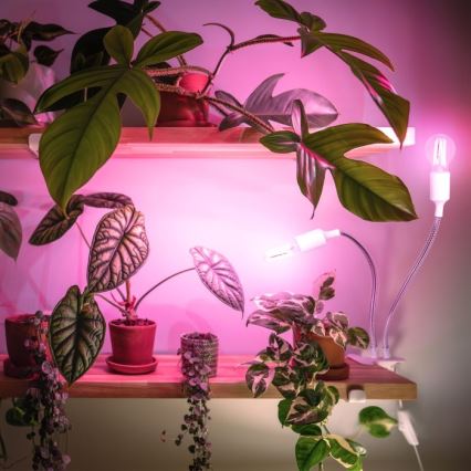 Lámpara de mesa flexible con clip para cultivo de plantas PLANTY 2xE27/30W/230V blanca