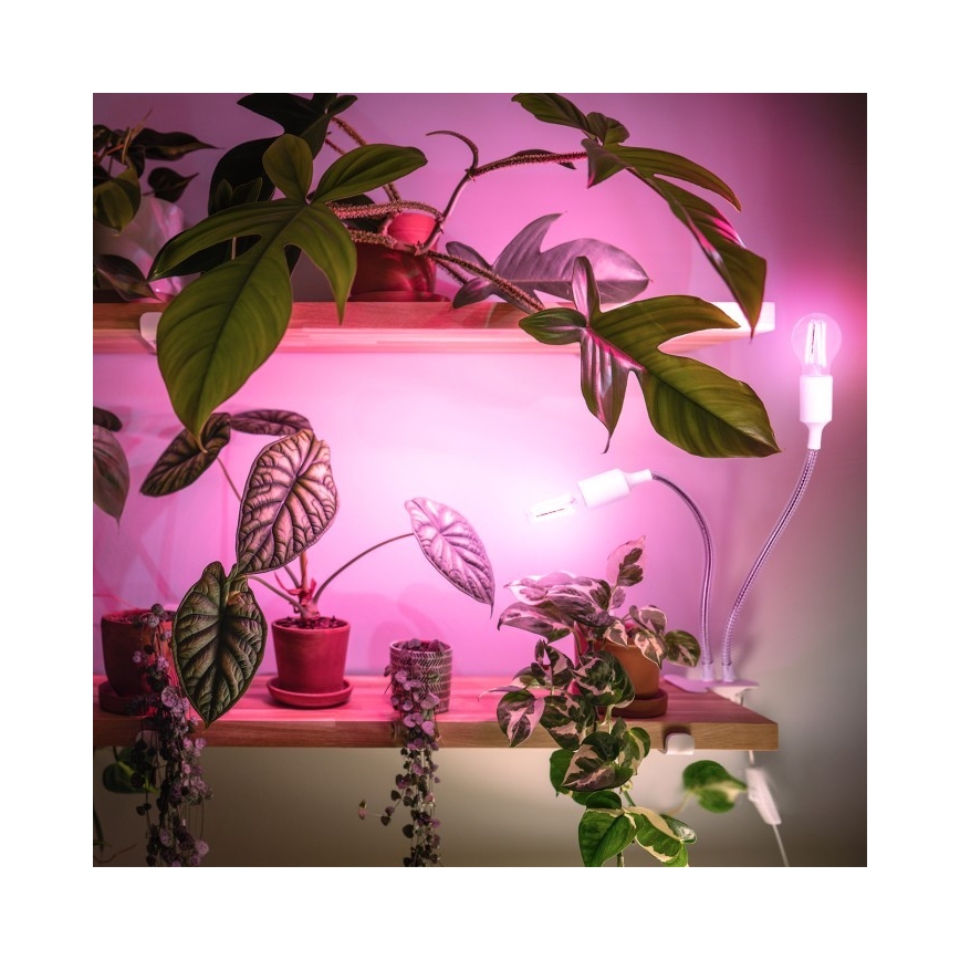 Lámpara de mesa flexible con clip para cultivo de plantas PLANTY 2xE27/30W/230V blanca