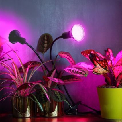Lámpara de mesa flexible con clip para cultivo de plantas PLANTY 2xE27/30W/230V negra
