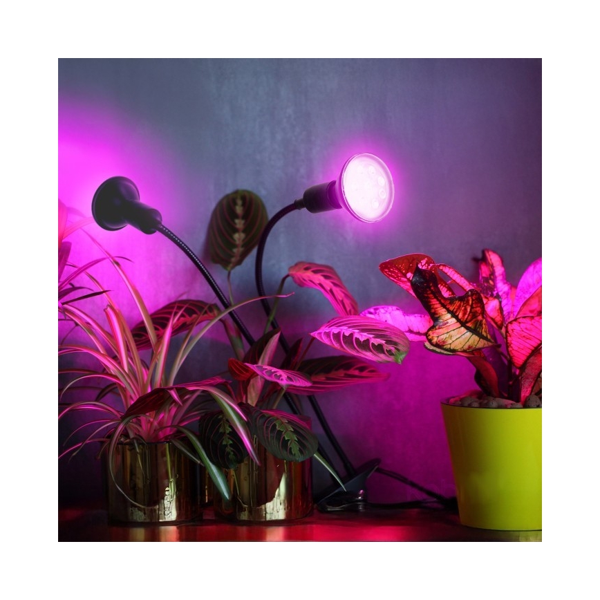 Lámpara de mesa flexible con clip para cultivo de plantas PLANTY 2xE27/30W/230V negra