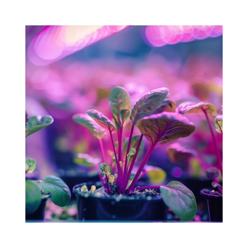 Lámpara de mesa flexible con clip para cultivo de plantas PLANTY 1xE27/30W/230V blanca