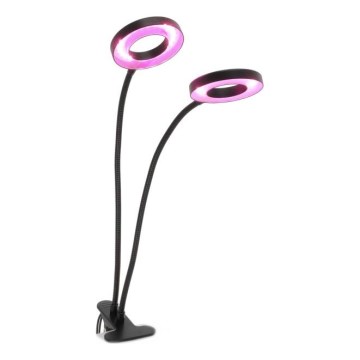 Lámpara de mesa flexible LED regulable con clip para cultivo de plantas VITARO 2xLED/4W/230V negra