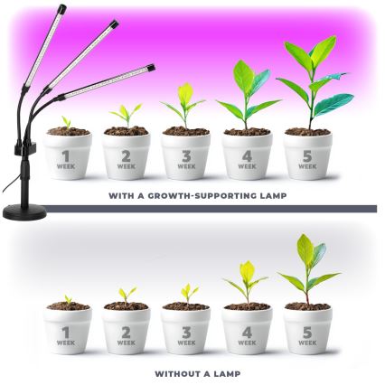 Lámpara de mesa flexible LED regulable para el cultivo de plantas VITARO 3xLED/10W/230V negro