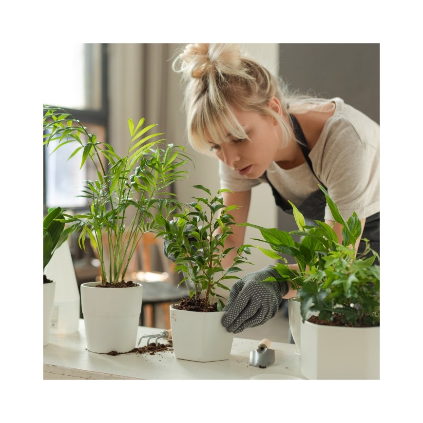 Lámpara LED de mesa regulable para cultivo de plantas VERDI LED/5W/5V 1300K IRC 95 blanca