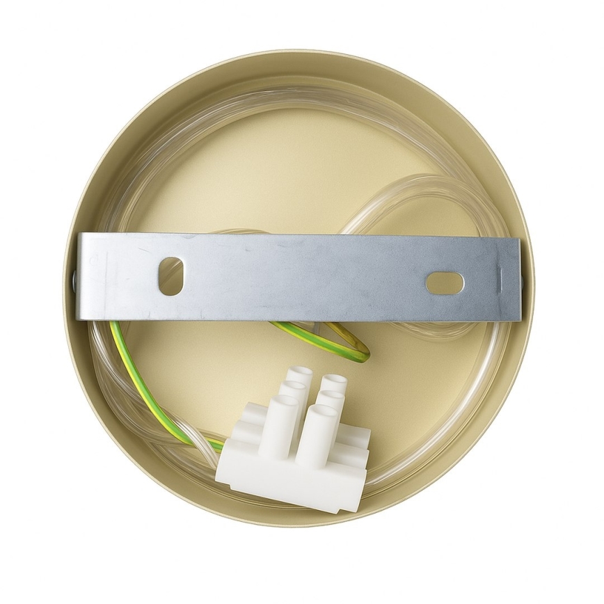 Lámpara de pared CAPITAL 1xGX53/15W/230V dorada