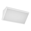 Lámpara de pared LED para exterior LED/20W/230V 6400K IP65 blanca