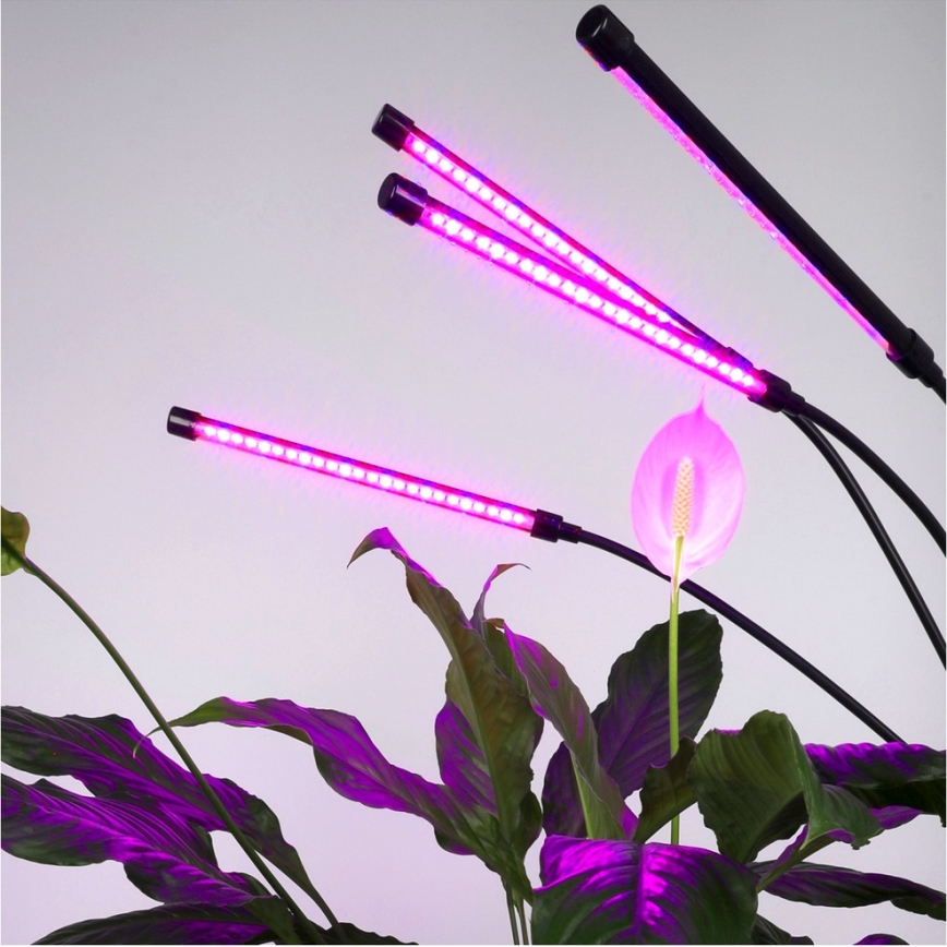 Lámpara de pie flexible LED regulable para el cultivo de plantas VITARO 4xLED/7,5W/230V negro