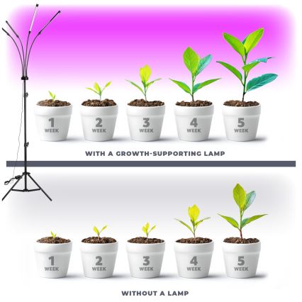 Lámpara de pie flexible LED regulable para el cultivo de plantas VITARO 4xLED/7,5W/230V negro