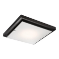 Lámpara de techo 1xE27/60W/230V pino
