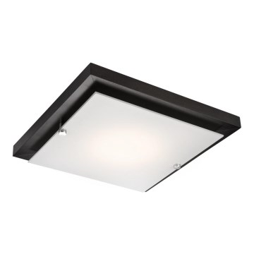 Lámpara de techo 1xE27/60W/230V pino