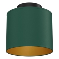 Lámpara de techo ARDEN 1xE27/15W/230V Ø 18 cm verde
