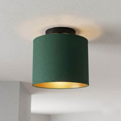 Lámpara de techo ARDEN 1xE27/15W/230V Ø 18 cm verde