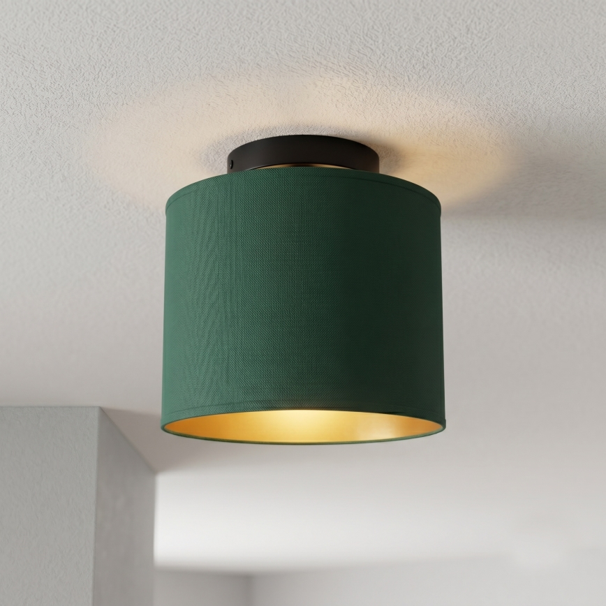 Lámpara de techo ARDEN 1xE27/15W/230V Ø 18 cm verde