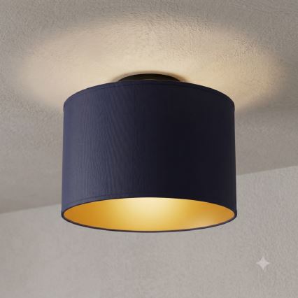 Lámpara de techo ARDEN 1xE27/15W/230V Ø 25 cm azul