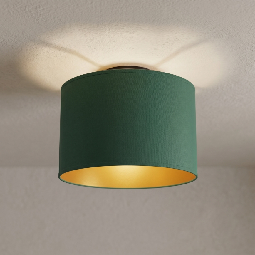 Lámpara de techo ARDEN 1xE27/15W/230V Ø 25 cm verde