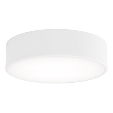 Lámpara de techo CLEO con detector de movimiento y detector crepuscular 2xE27/24W/230V, diámetro 30 cm, blanca