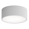 Lámpara de techo CLEO con sensor de movimiento y crepúsculo 1xE27/40W/230V Ø 20 cm, gris