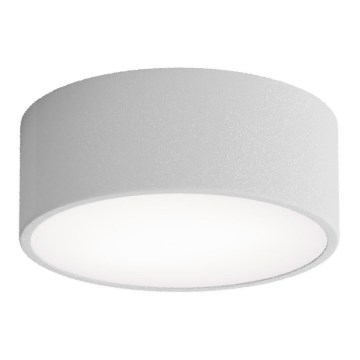Lámpara de techo CLEO con sensor de movimiento y crepúsculo 1xE27/40W/230V Ø 20 cm, gris