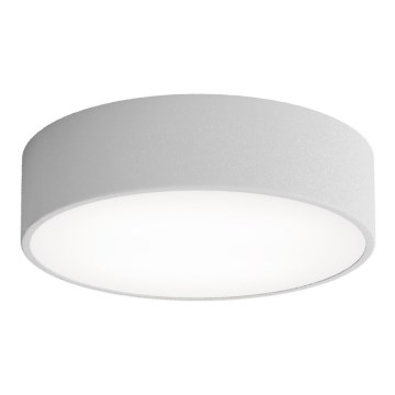 Lámpara de techo CLEO con sensor de movimiento y de crepúsculo 2xE27/24W/230V Ø 30 cm gris