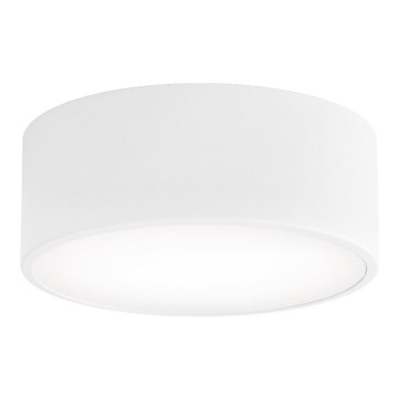 Lámpara de techo CLEO con sensor de movimiento y detector crepuscular 1xE27/40W/230V, de 20 cm de diámetro, blanca