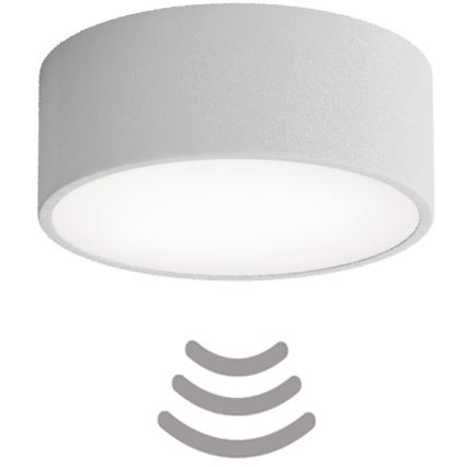 Lámpara de techo CLEO con sensor de movimiento y crepúsculo 1xE27/40W/230V Ø 20 cm, gris