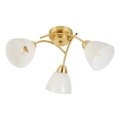 Lámpara de techo de montaje en superficie CLARA 3xE27/15W/230V, acabado dorado