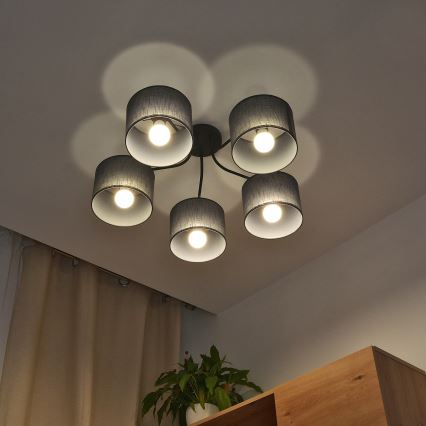 Lámpara de techo de superficie ALBA 5xE27/15W/230V gris