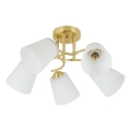 Lámpara de techo de superficie PAFOS 5xE27/15W/230V dorada
