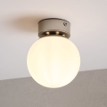 Lámpara de techo ELIAS 1xE14/5W/230V Ø 13 cm cromo mate/blanco