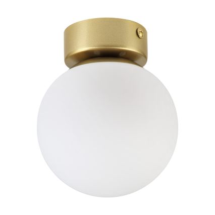 Lámpara de techo ELIAS 1xE14/5W/230V Ø 13 cm dorada/blanca