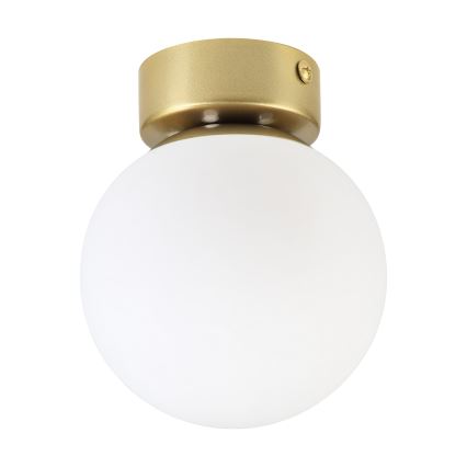 Lámpara de techo ELIAS 1xE14/5W/230V Ø 13 cm dorada/blanca