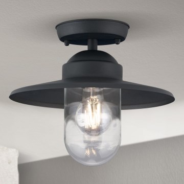 Lámpara de techo exterior de superficie EDWARD 1xE27/60W/230V IP44 antracita