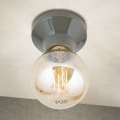 Lámpara de techo FROST 1xE27/60W/230V gris