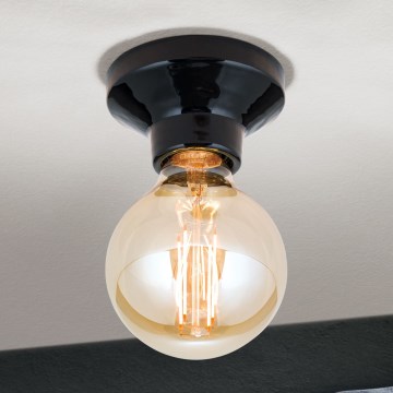 Lámpara de techo FROST 1xE27/60W/230V negra