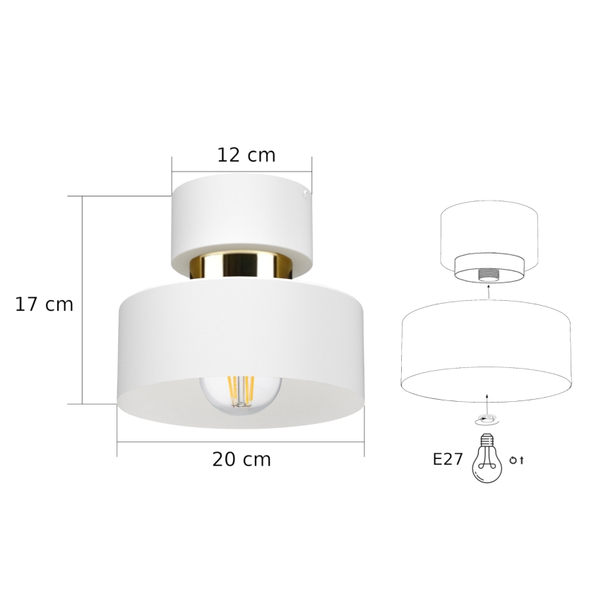 Lámpara de techo IGNIA 1xE27/60W/230V blanca/dorada