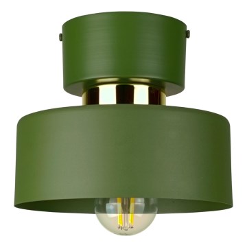 Lámpara de techo IGNIA 1xE27/60W/230V verde/dorado