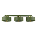 Lámpara de techo IGNIA 3xE27/60W/230V verde/dorado