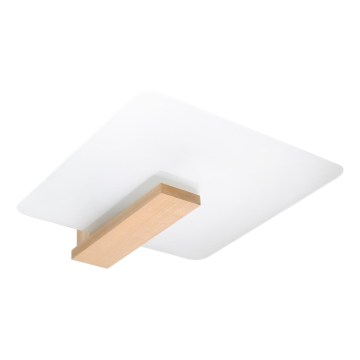 Lámpara de techo LAPPO 2xE27/15W/230V beige