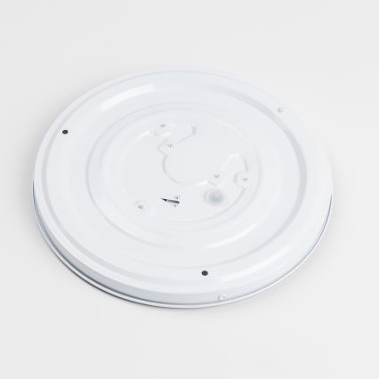 Lámpara de techo LED/12W/230V Ø 32 cm gris/plata